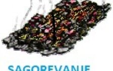 PRAVILNO LOŽENJE I GREJANJE NA DRVA